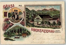 13628809 - 8173 Oberenzenau Trachtenpaar Pension Jaud Waldsee Angler Bad