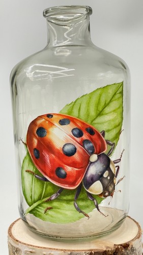Spardose aus glas - spardose,