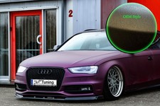 Spoiler Cuplippe mit Wing aus