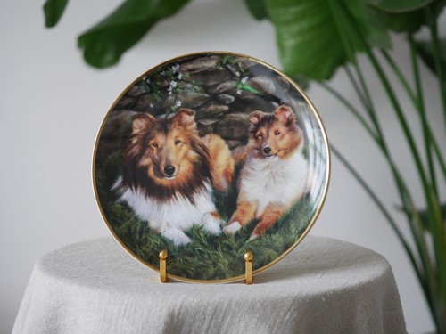 Danbury mint sammelteller - danbury,