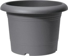 Scheurich pflanzgefäß oliver - scheurich,