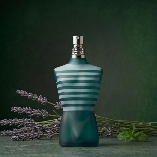 Jean paul gaultier male - jean,