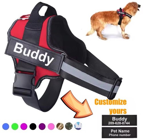 Personalisiertes hundegeschirr - personalisiertes,