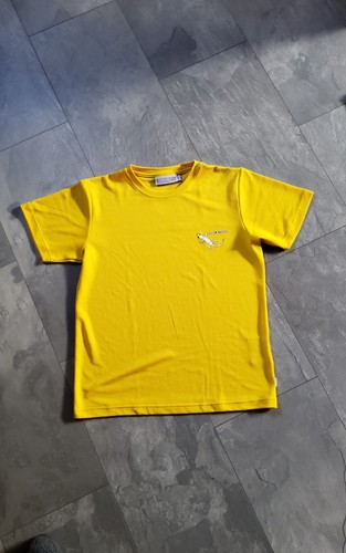 Rocxygen gecko shirt - rocxygen, gecko-shirt