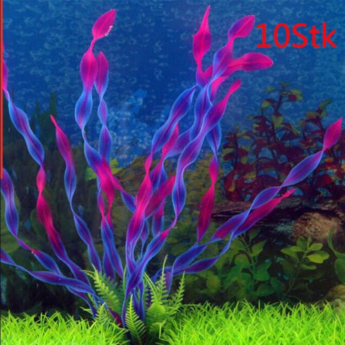 10x aquariumpflanzen - 10x,