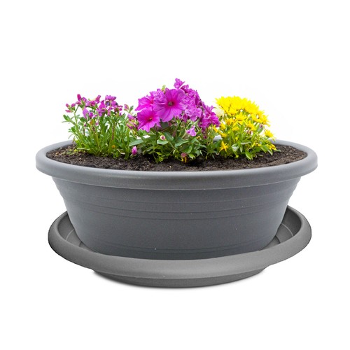 Tiefe pflanzschale mit - tiefe,