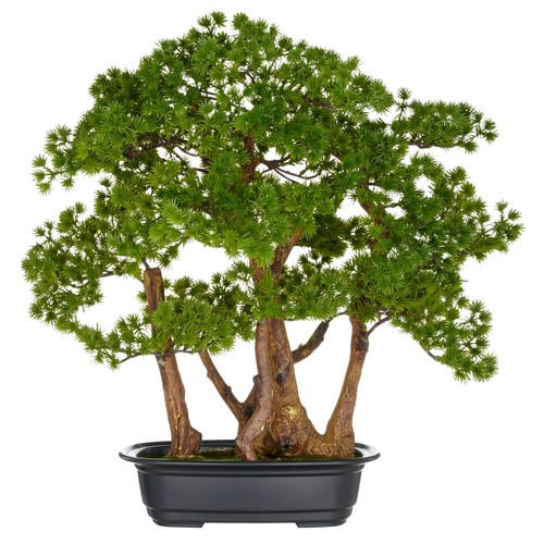 Kunstpflanze bonsai larix - kunstpflanze,
