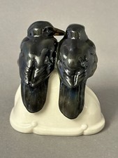 Seltene Vogelgruppe junge