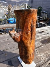 Fackelschönheit aus