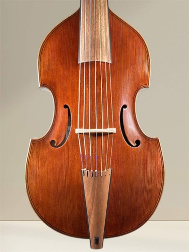 Bass viola gamba saitig - bass, 7-saitig