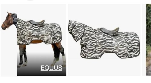 Zebra design ride - zebra, on