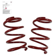 Triple S Sport Federn