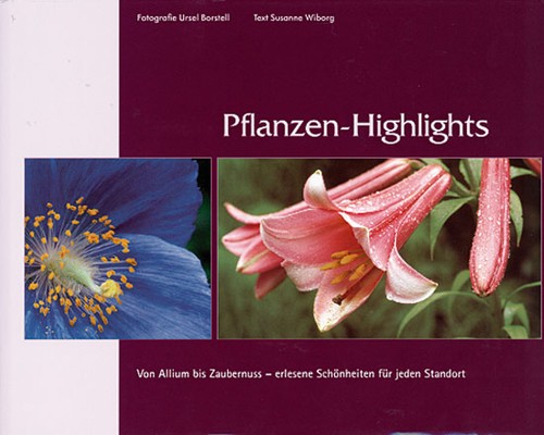 Pflanzen highlights von - pflanzen-highlights, allium
