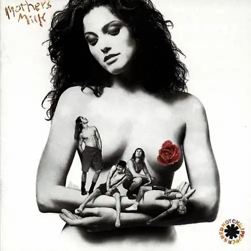 Red hot chili peppers - hot,