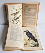 DDR Taschenbuch der Heimischen Singvögle Raub- & Rabenvögel E. Schoner 1960