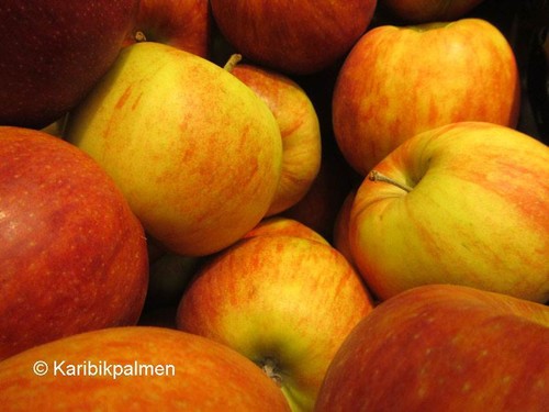Apfelbaum goldparmäne - apfelbaum, 'goldparmäne'