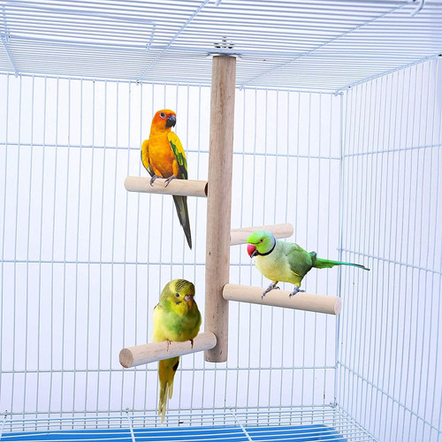Vogelkäfig aus holz - vogelkäfig,
