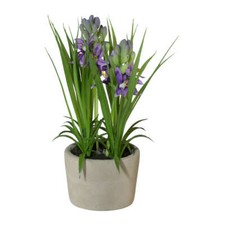 Kunstpflanze HYAZINTHEN im Zementtopf. Ca 21cm. Künstliche Lilie getopft. LILA