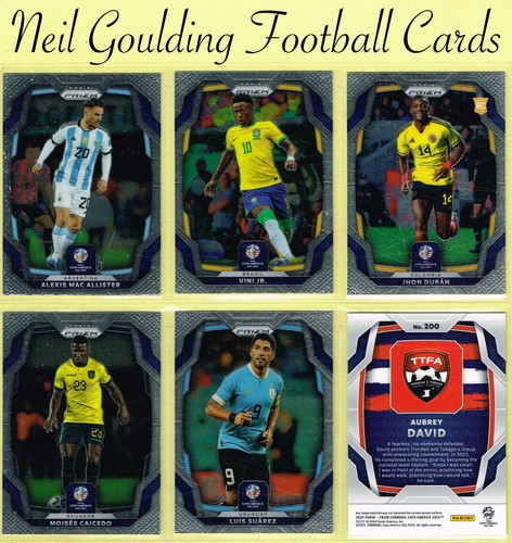 Panini conmebol copa - conmebol,