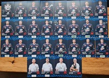 28 x Nürnberg Ice Tigers Orig
