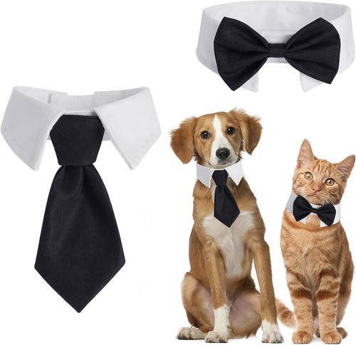 Fliege für hunde und - und, katzen