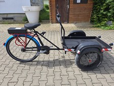 e lastenrad gebraucht