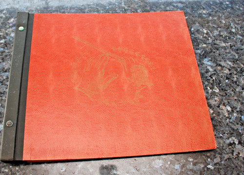 Leeres schellackplatten album - leeres,