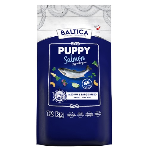 Baltica excellent puppy - baltica,