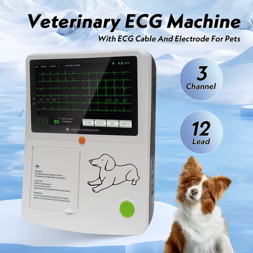 Veterinary ecg machine - veterinary,