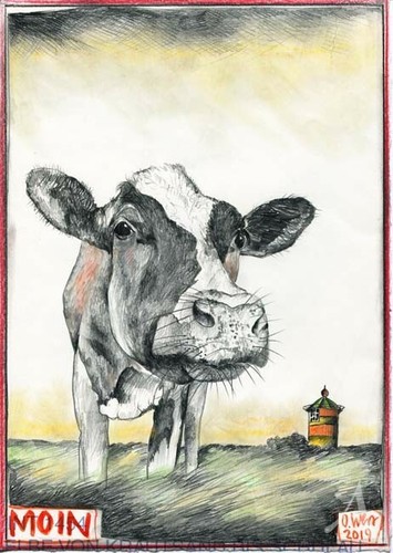 Kunstdruck moin kuh - "moin", (kuh
