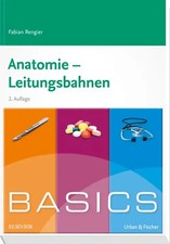 BASICS Anatomie -