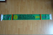 Fanschal Borussia