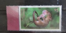 1 x Tierbabys Haselmaus