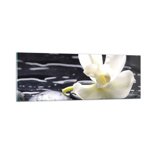 Wandbilder 90x30cm glasbild - wandbilder,