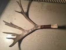 Geweih , Rentier, Gehörn Jagd