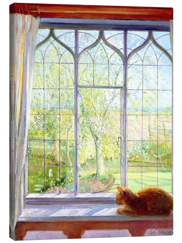 Leinwandbild katze fenster - katze,