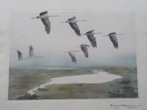 Karl ewald olszewski - karl,