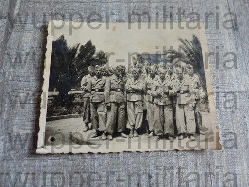 Foto südfront uniform - foto,