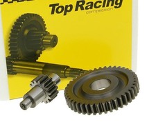 Top Racing Getriebe sekundär 14/41 für Malaguti F15 Firefox AC 50 Yamaha Aerox