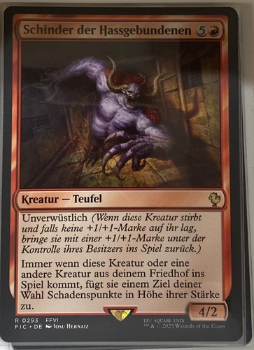 Schinder der hassgebundenen - der,