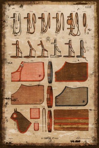 Vintage illustration von horse - illustration,