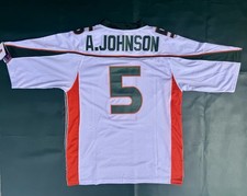 Andre Johnson Miami Hurricanes