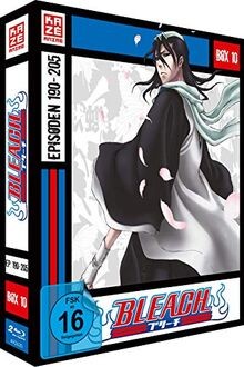 Bleach serie vol 10 - serie,