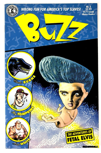 Buzz 1991 kitchen sink - buzz,