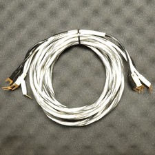 Speaker cable monitor audio