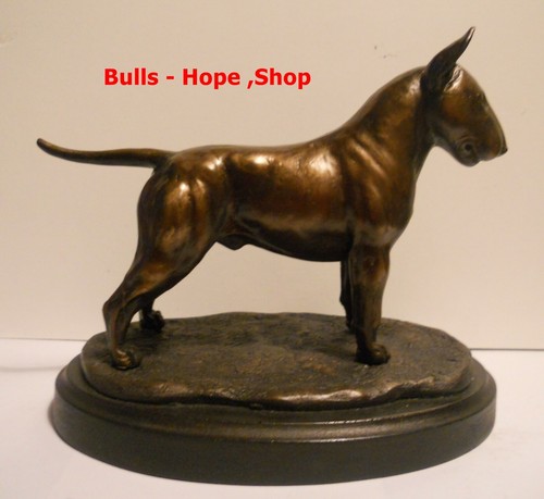 English bull terrier - bull,
