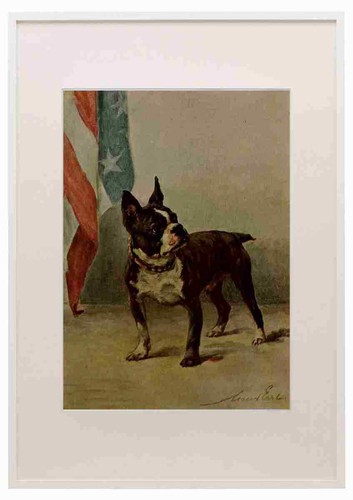 Earl maud 1864 1943 the - earl,