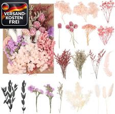 Natürliche getrocknete Blumen