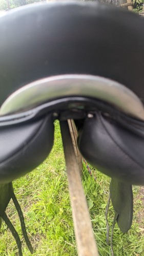 Wow pferd dressursättel - pferd,