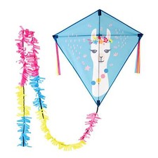 Wolkenstürmer Kinderdrachen